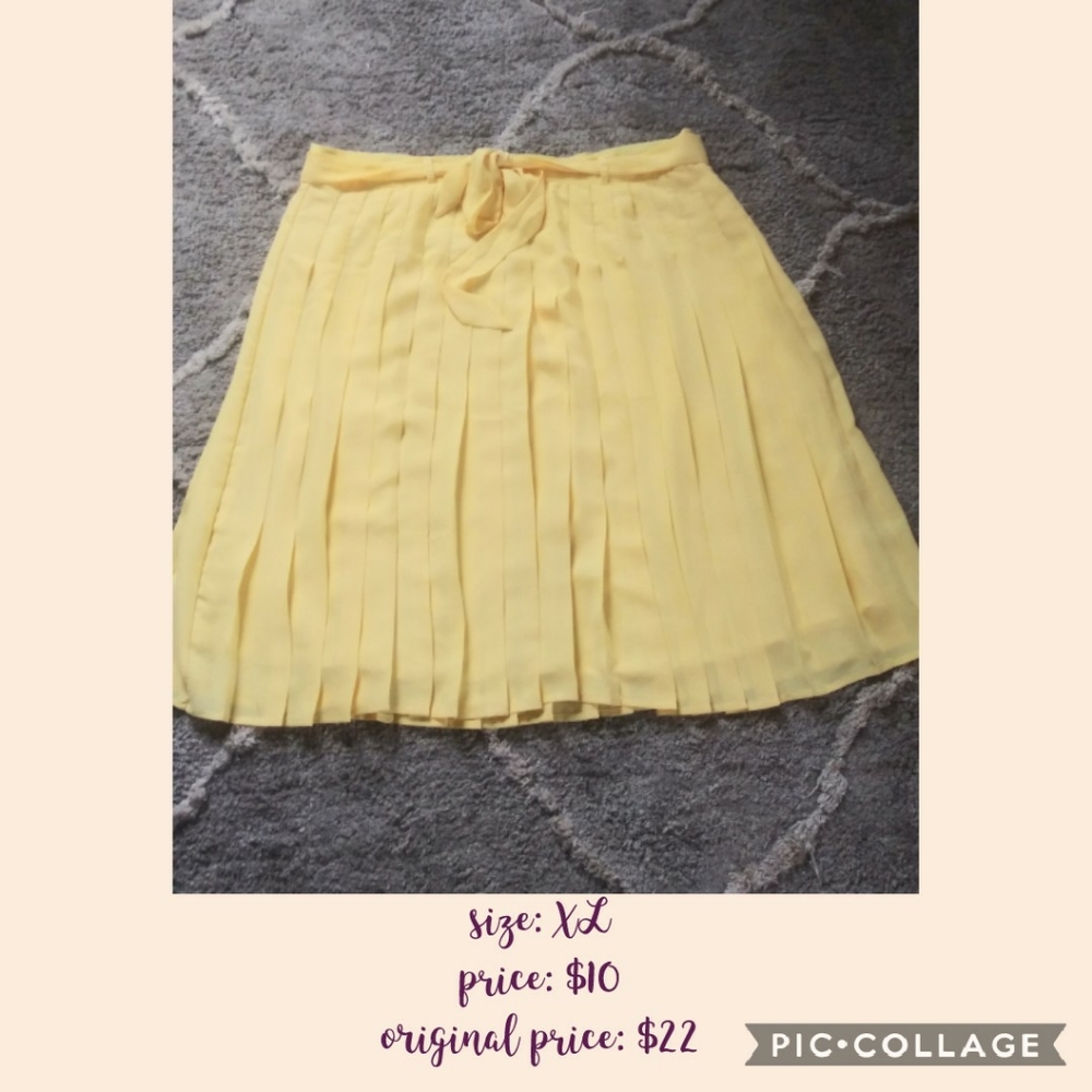 Pleated Skirt